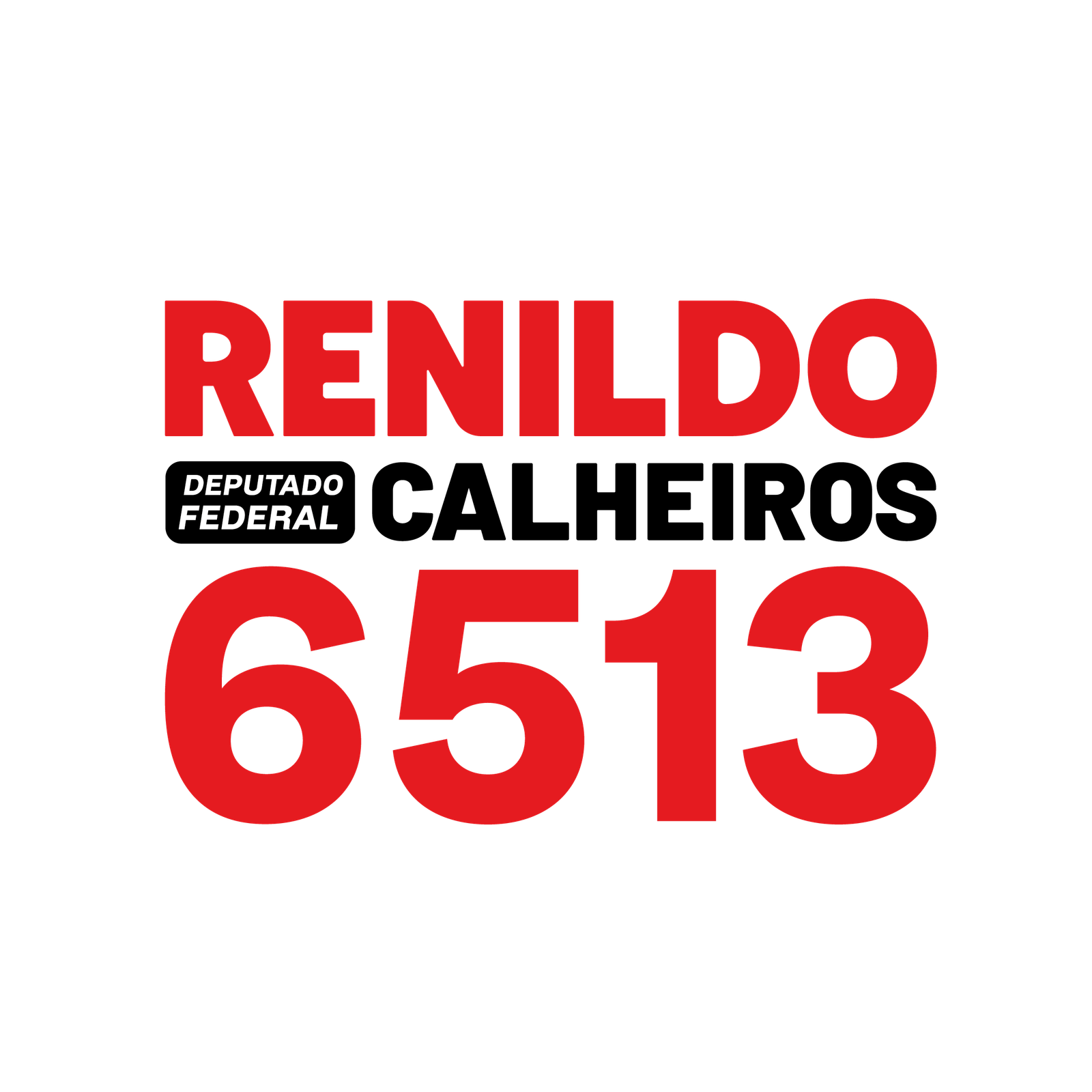 Renildo Calheiros — Deputado Federal 6513